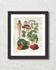 French Vegetable Collage No. 2 Botanical Art Print