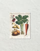 French Vegetable Collage No. 3 Botanical Art Print