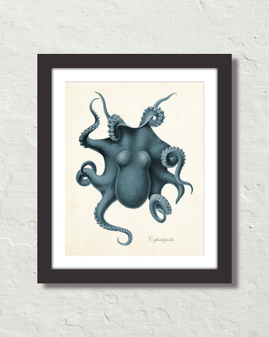 Vintage Octopus No. 2 Smokey Blue Color Art Print