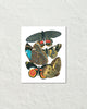 Art Deco Seguy Butterflies No. 20 Art Print