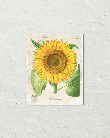 sunflower collage template