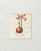 Vintage Floral Collage No.12 Botanical Art Print