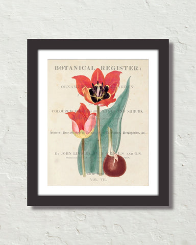 Vintage Floral Collage No.13 Botanical Art Print