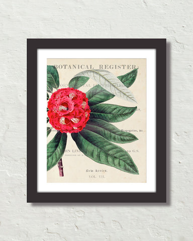 Vintage Floral Collage No.15 Botanical Art Print