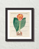Vintage Floral Collage No.16 Botanical Art Print