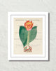 Vintage Floral Collage No.16 Botanical Art Print