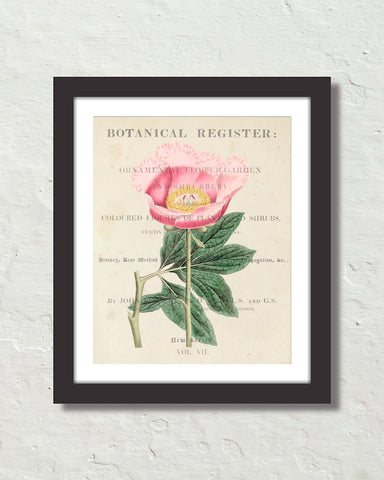 Vintage Floral Collage No. 819 Botanical Art Print