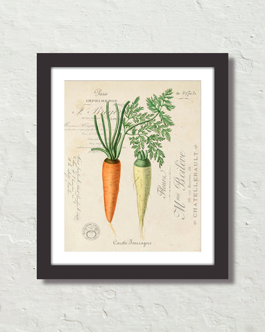 Vintage French Carrot Collage Art Print