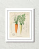 Vintage French Carrot Collage Art Print