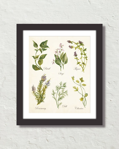 Watercolor Botanical Herbs Giclee Art Print