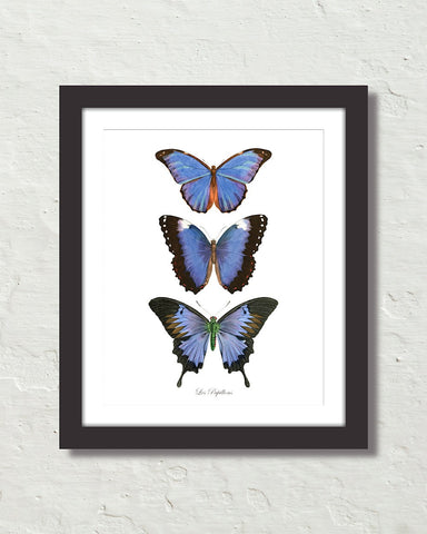 Les Papillons Blue Butterflies Art Print