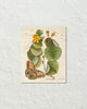 Vintage Butterfly Botanical Art Collage No. 21 Art Print