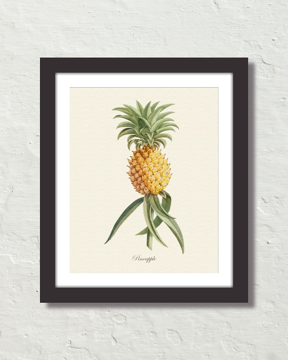 BOTANICAL ART 【import品】 BOTANICAL ART 【import品】 BOTANICAL ART 【import品】 ZX