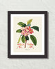 Vintage Tropical Plumeria Botanical Art Print