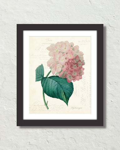 Vintage French Hydrangea Collage Art Print