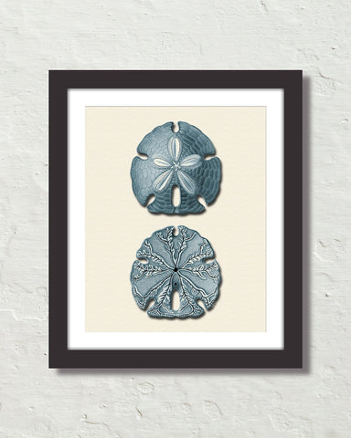Vintage Sand Dollar No. 4 Blue Tint Art Print