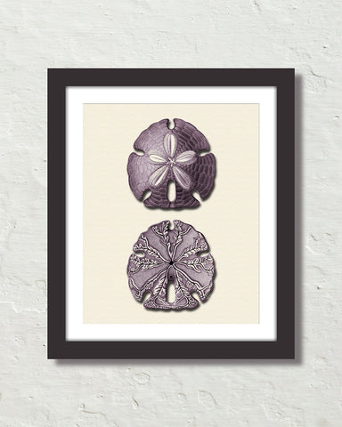 Vintage Sand Dollar No. 3 Purple Tint Art Print