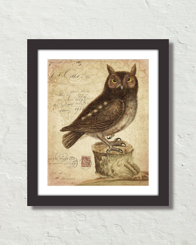 Vintage Owl Collage No. 72 Original Natural History Art Print