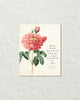 The Little Prince Quote Typographic Rose Botanical Art Print