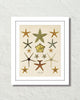 Vintage Starfish Collage No. 1 Art Print