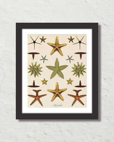 Vintage Starfish Collage No. 2 Art Print