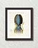 Blue Cephalopoda Giclee Art Print