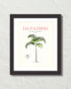 Les Palmiers Vintage French Palm Tree Collage No. 13