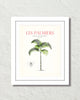 Les Palmiers Vintage French Palm Tree Collage No. 13