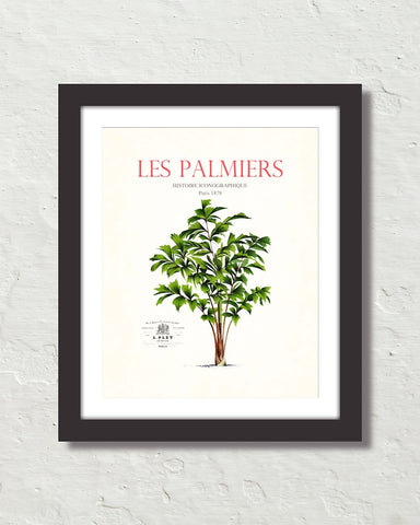 Les Palmiers Vintage French Palm Tree Collage No. 21