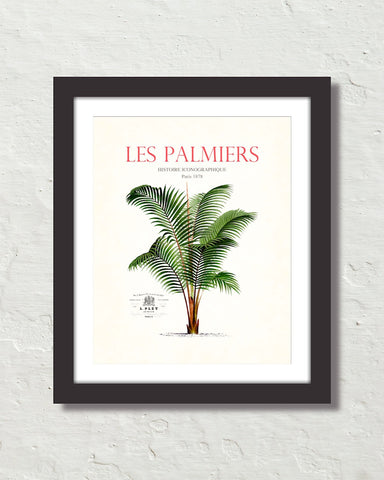 Les Palmiers Vintage French Palm Tree Collage No. 30