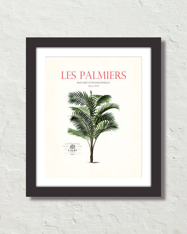 Les Palmiers Vintage French Palm Tree Collage No. 34