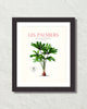 Les Palmiers Vintage French Palm Tree Collage No. 35