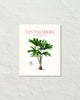 Les Palmiers Vintage French Palm Tree Collage No. 35