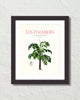 Les Palmiers Vintage French Palm Tree Collage No. 39