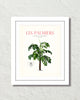 Les Palmiers Vintage French Palm Tree Collage No. 39