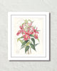 Vintage Orchid Collage No. 1 Art Print