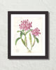 Vintage Orchid Collage No. 13 Art Print