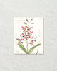 Vintage Orchid Collage No. 17 Art Print