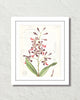 Vintage Orchid Collage No. 17 Art Print