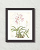 Vintage Orchid Collage No. 24 Art Print