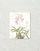 Vintage Orchid Collage No. 24 Art Print