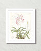 Vintage Orchid Collage No. 24 Art Print
