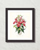 Vintage Orchid Flower Series No. 37 Art Print