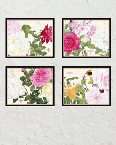 Garden Study Plate Canvas Art Print Set