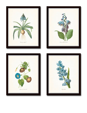 Blue Redoute Floral Botanical Print Set No. 3