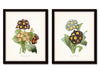 Antique Primrose Floral Print Set No.5
