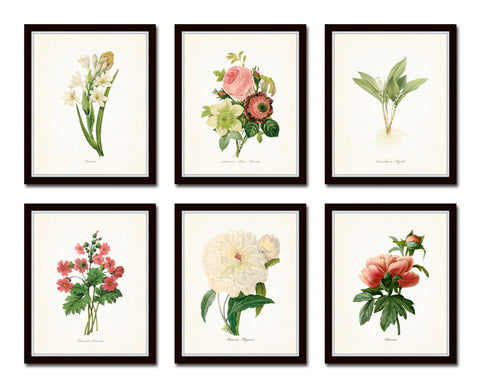 Botanical Garden Floral Print Set No. 21