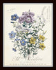French Botanical Collage Print Set No. 2