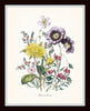 Fleurs de Jardin Botanical Print Set No. 15