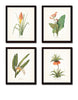 Botanical Tropical Floral Print Set No. 7